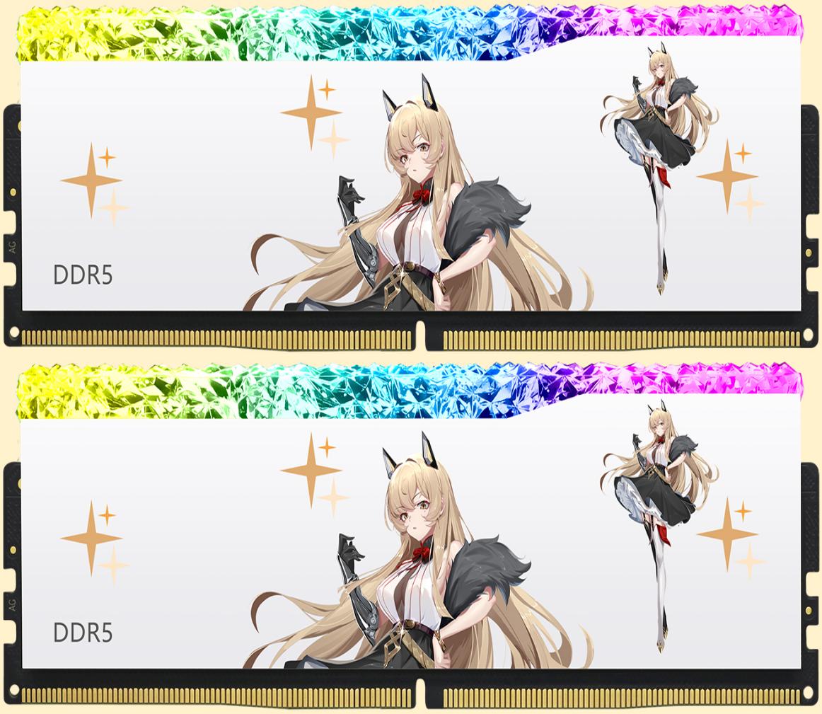 玖合(JUHOR)星域系列 DDR5 内存条