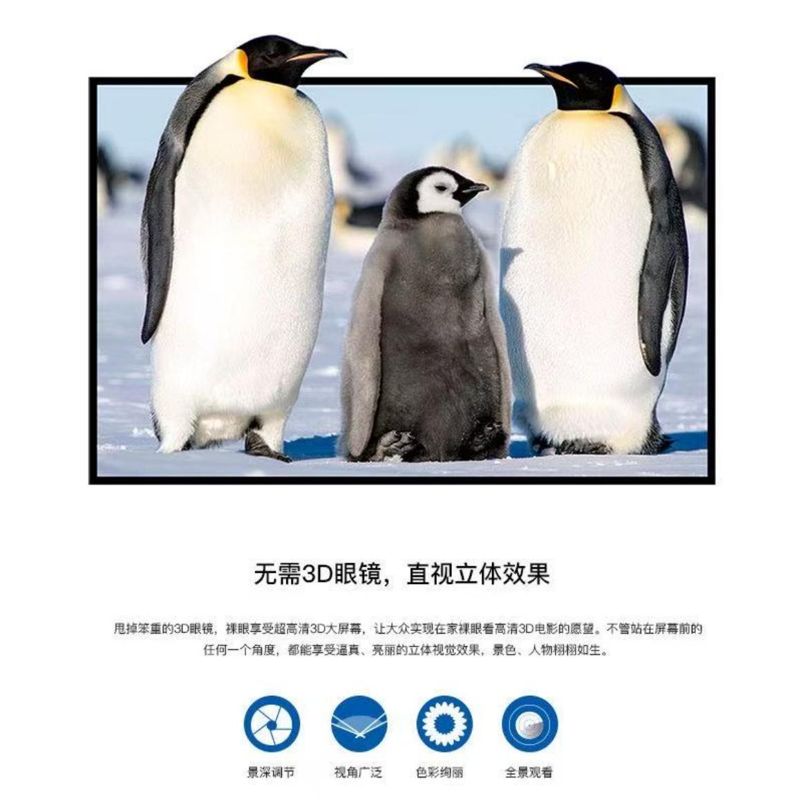 裸眼3D电视