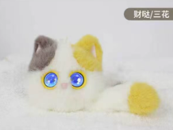 YD04
财哒
(三花)